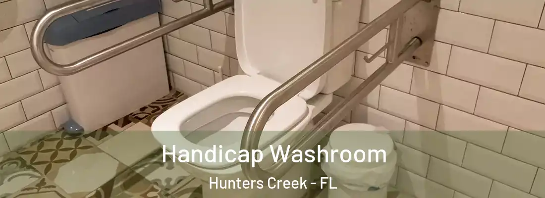  Handicap Washroom Hunters Creek - FL