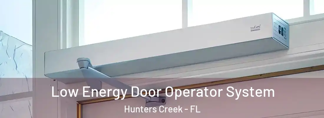 Low Energy Door Operator System Hunters Creek - FL