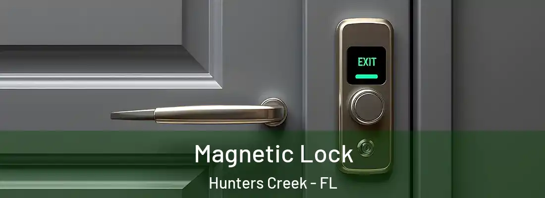 Magnetic Lock Hunters Creek - FL